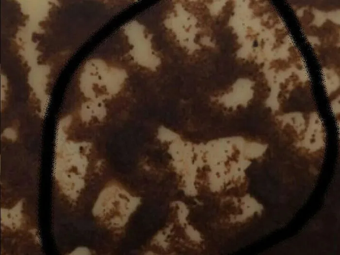 Записаться на прием к лучшей гадалке города